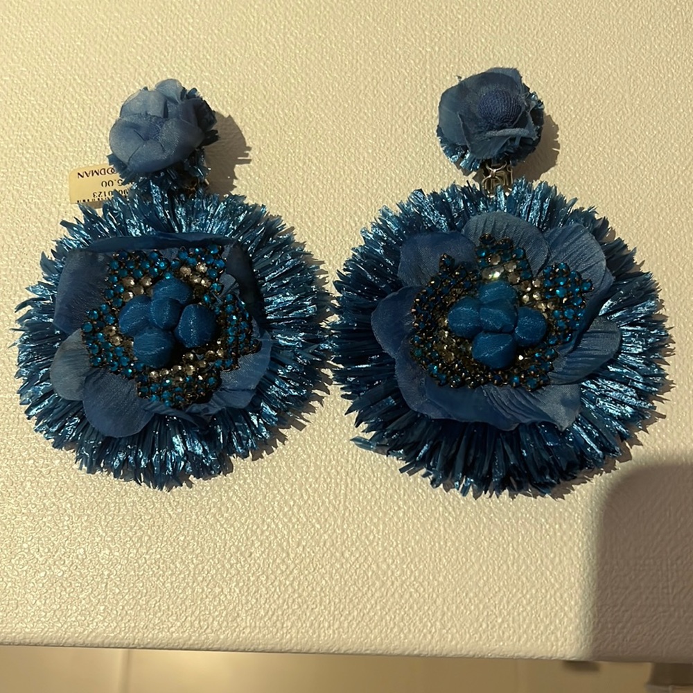 Ranjana Khan gorgeous royal blue earrings